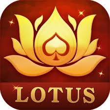 teen patti mpls rummy download